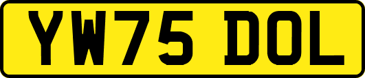 YW75DOL