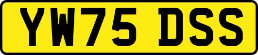 YW75DSS