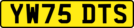 YW75DTS