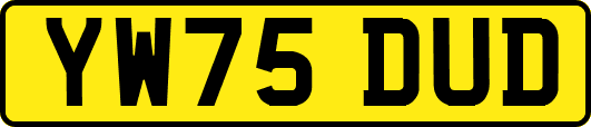 YW75DUD