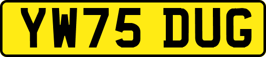 YW75DUG