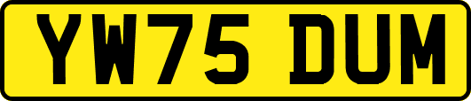 YW75DUM