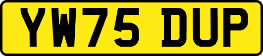 YW75DUP