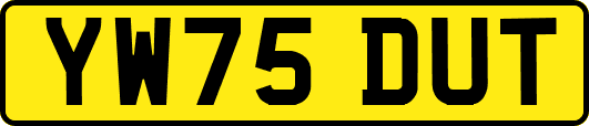 YW75DUT