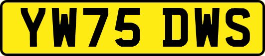 YW75DWS