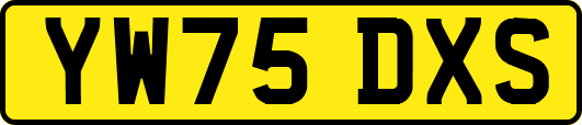 YW75DXS