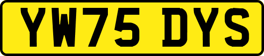 YW75DYS