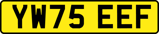 YW75EEF
