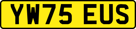 YW75EUS