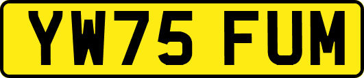 YW75FUM