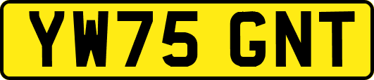 YW75GNT