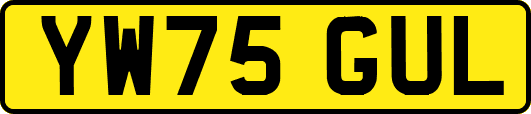 YW75GUL