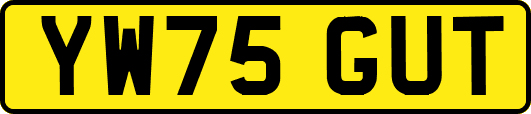 YW75GUT
