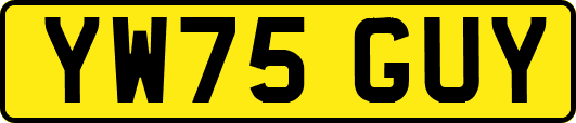 YW75GUY