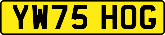 YW75HOG