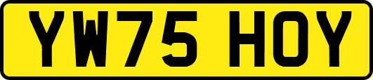 YW75HOY