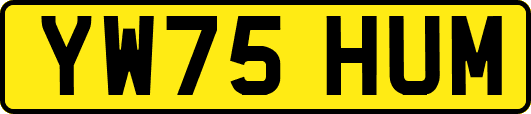 YW75HUM