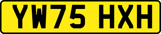YW75HXH