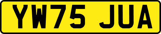 YW75JUA