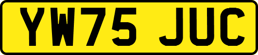 YW75JUC