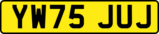 YW75JUJ