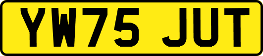 YW75JUT