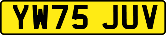 YW75JUV
