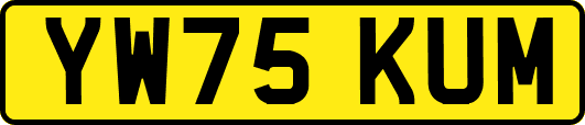 YW75KUM