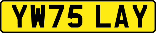 YW75LAY