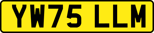 YW75LLM