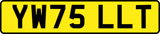 YW75LLT