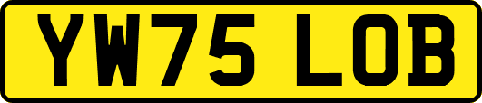 YW75LOB
