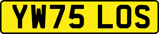 YW75LOS