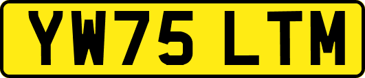 YW75LTM