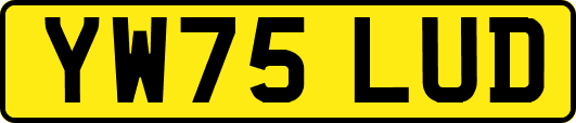 YW75LUD