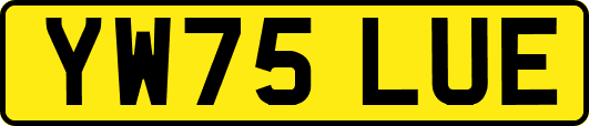 YW75LUE