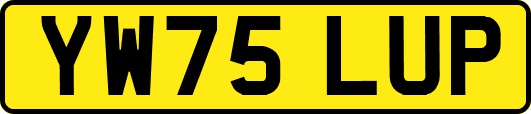YW75LUP