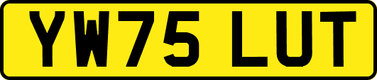 YW75LUT