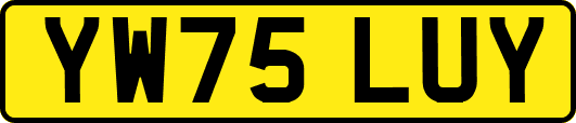 YW75LUY
