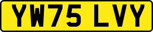 YW75LVY