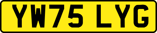 YW75LYG