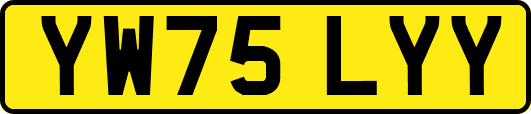 YW75LYY