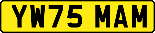 YW75MAM