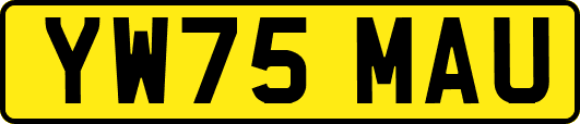 YW75MAU