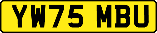 YW75MBU