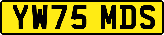 YW75MDS