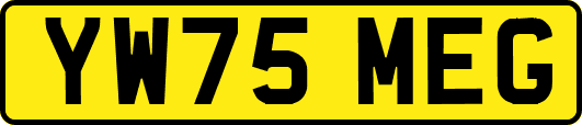 YW75MEG