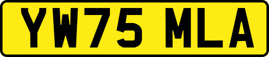 YW75MLA