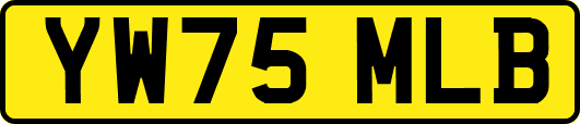 YW75MLB