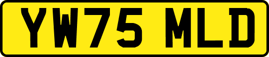 YW75MLD
